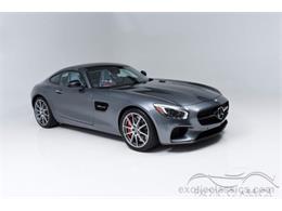 2016 Mercedes-Benz AMG (CC-851554) for sale in Syosset, Florida