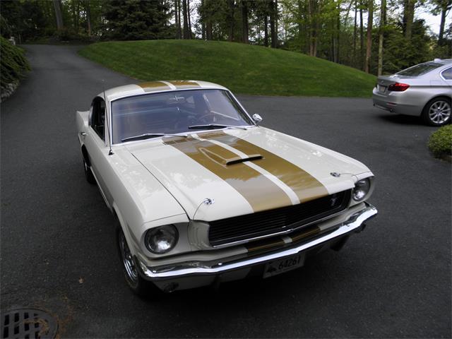 1966 Shelby Mustang (CC-852603) for sale in Middlebury, Connecticut