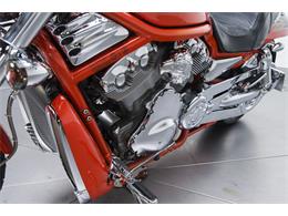 2005 Harley Davidson Screamin' Eagle V-Rod VRSCSE (CC-850279) for sale in Charlotte, North Carolina