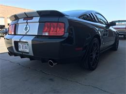 2008 Shelby GT500 (CC-854764) for sale in Henderson, Nevada