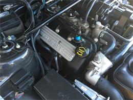 2008 Shelby GT500 (CC-854764) for sale in Henderson, Nevada