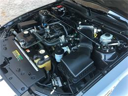 2008 Shelby GT500 (CC-854764) for sale in Henderson, Nevada