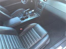 2008 Shelby GT500 (CC-854764) for sale in Henderson, Nevada