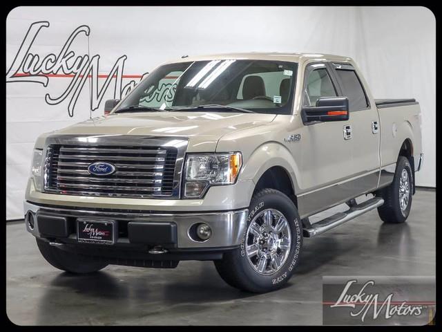 2010 Ford F150 (CC-855008) for sale in Elmhurst, Illinois