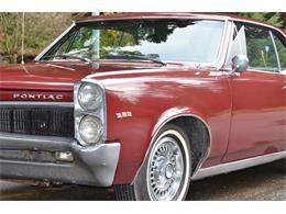 1967 Pontiac LeMans (CC-858954) for sale in Gig Harbor, Washington