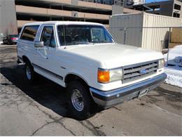 1990 Ford Bronco (CC-861561) for sale in Denver, Colorado