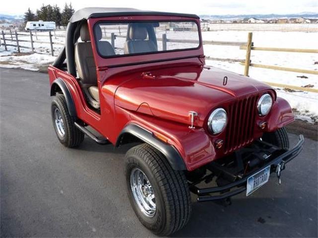 1959 Jeep Willy's (CC-861795) for sale in Cadillac, Michigan