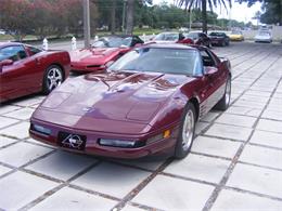 1993 Chevrolet Corvette (CC-861919) for sale in Largo, Florida