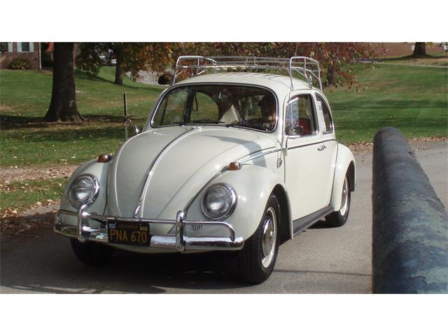 1966 Volkswagen Beetle (CC-862097) for sale in Harrisburg, Pennsylvania