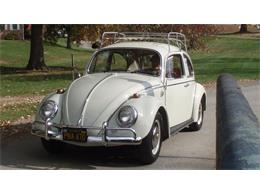 1966 Volkswagen Beetle (CC-862097) for sale in Harrisburg, Pennsylvania