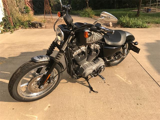 2009 Harley-Davidson Sportster (CC-864003) for sale in Effingham, Illinois