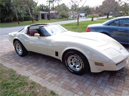 1981 Chevrolet Corvette (CC-860925) for sale in Ft. Lauderdale, Florida