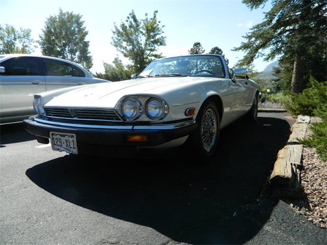 1991 Jaguar XJS (CC-871218) for sale in Colorado Springs, Colorado