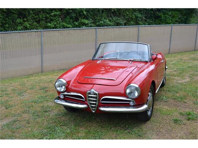 1965 Alfa Romeo Giulietta Spider (CC-872568) for sale in Tacoma, Washington