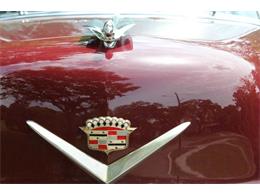 1953 Cadillac DeVille (CC-874172) for sale in Clearwater, Florida