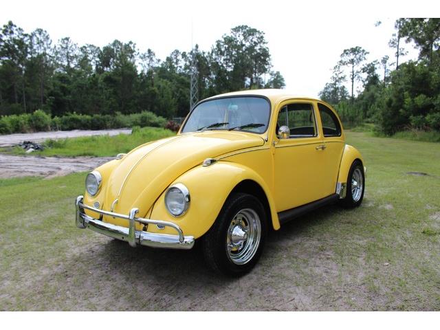 1967 Volkswagen Beetle (CC-874281) for sale in Orlando, Florida