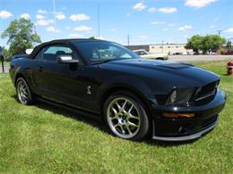 2009 Shelby GT500 (CC-874307) for sale in Troy, Michigan