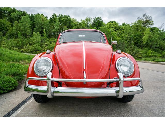 1964 Volkswagen Beetle (CC-875256) for sale in St. Charles, Missouri