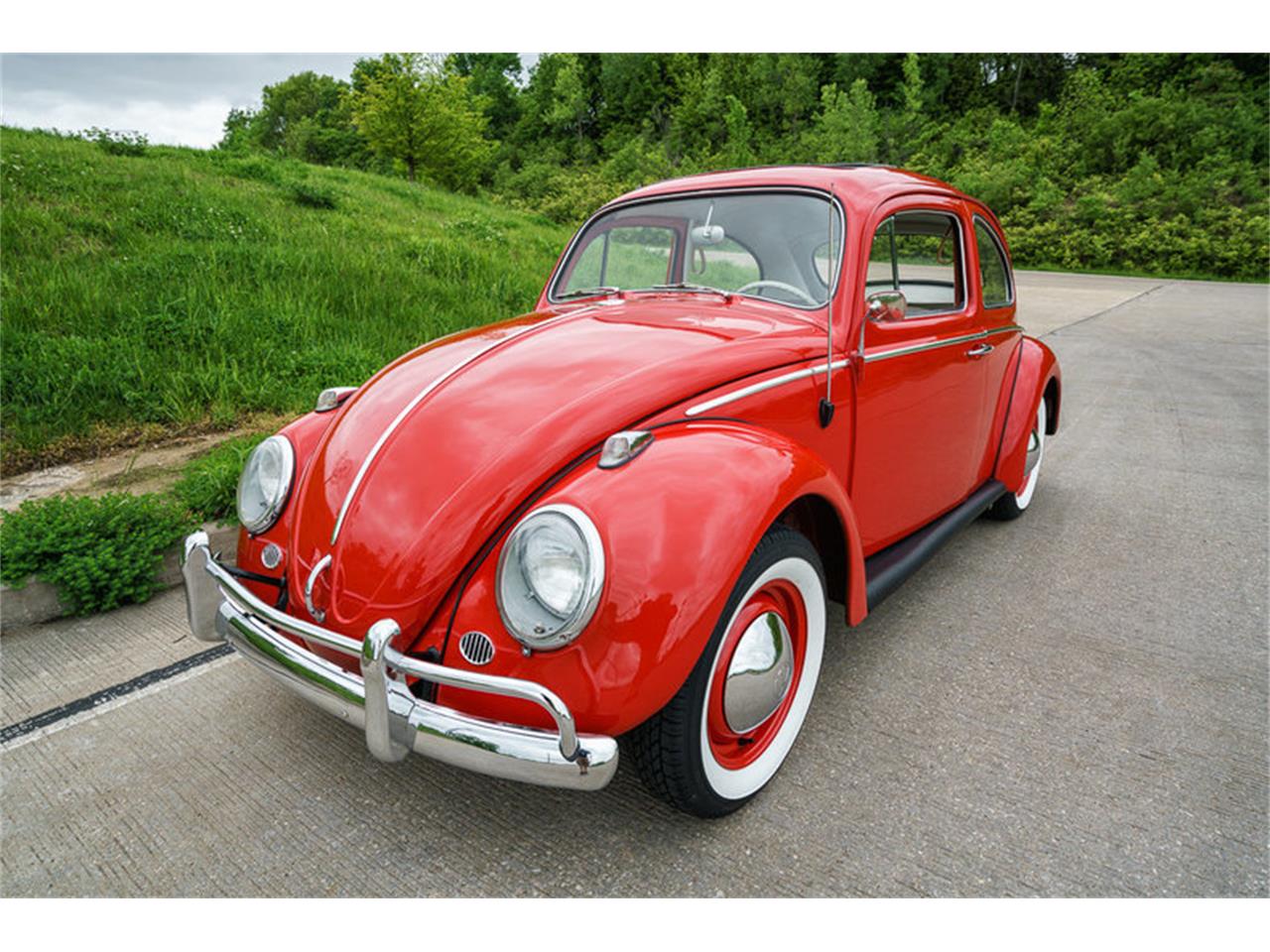 1964 Volkswagen Beetle For Sale | ClassicCars.com | CC-875256