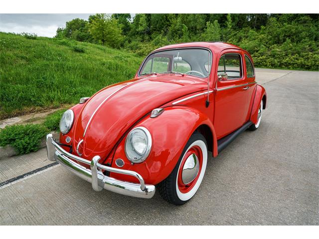 1964 Volkswagen Beetle (CC-875256) for sale in St. Charles, Missouri