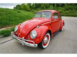 1964 Volkswagen Beetle (CC-875256) for sale in St. Charles, Missouri