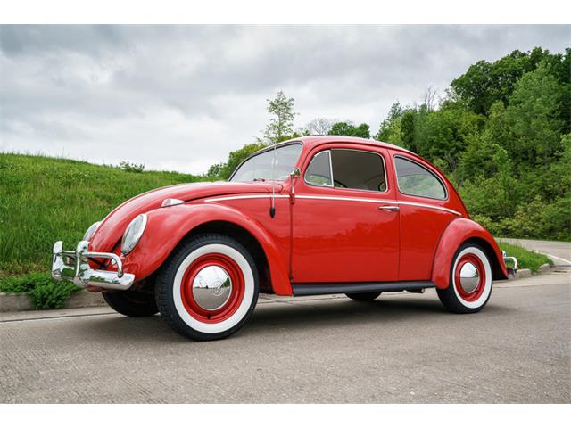 1964 Volkswagen Beetle (CC-875256) for sale in St. Charles, Missouri