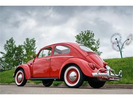 1964 Volkswagen Beetle (CC-875256) for sale in St. Charles, Missouri