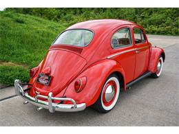 1964 Volkswagen Beetle (CC-875256) for sale in St. Charles, Missouri