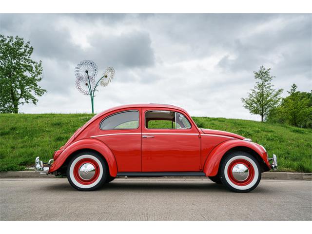 1964 Volkswagen Beetle (CC-875256) for sale in St. Charles, Missouri