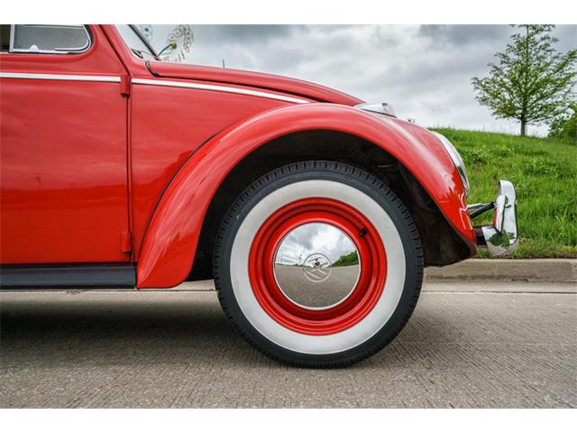 1964 Volkswagen Beetle (CC-875256) for sale in St. Charles, Missouri