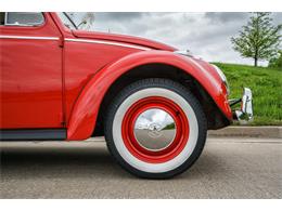 1964 Volkswagen Beetle (CC-875256) for sale in St. Charles, Missouri