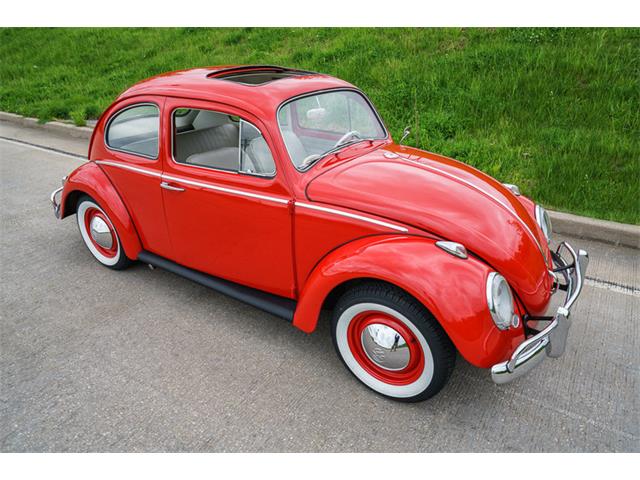 1964 Volkswagen Beetle (CC-875256) for sale in St. Charles, Missouri