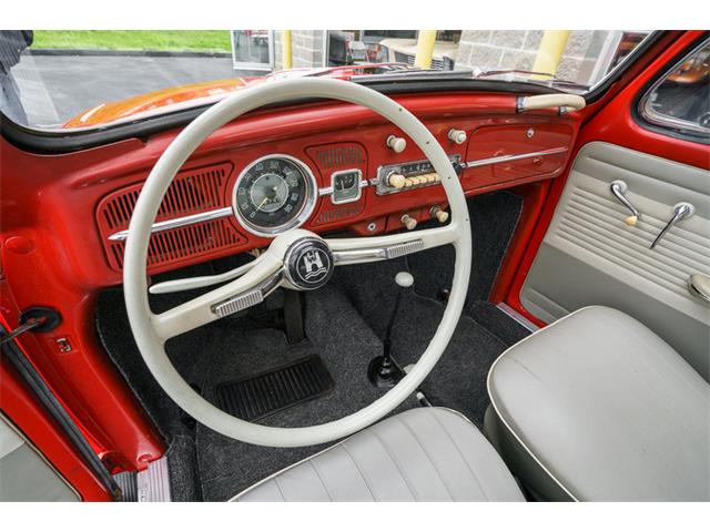 1964 Volkswagen Beetle (CC-875256) for sale in St. Charles, Missouri