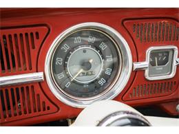 1964 Volkswagen Beetle (CC-875256) for sale in St. Charles, Missouri
