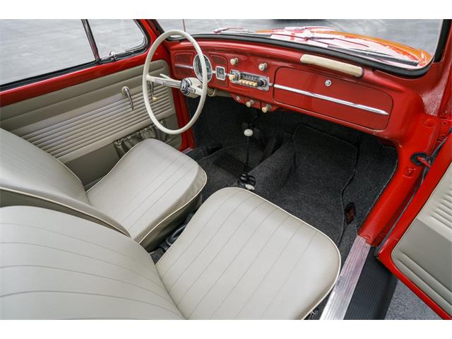 1964 Volkswagen Beetle (CC-875256) for sale in St. Charles, Missouri