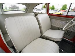 1964 Volkswagen Beetle (CC-875256) for sale in St. Charles, Missouri