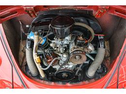 1964 Volkswagen Beetle (CC-875256) for sale in St. Charles, Missouri