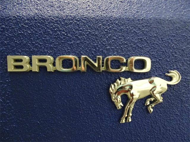 1981 Ford Bronco (CC-875286) for sale in Fairmont City, Illinois