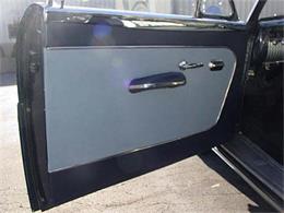 1951 Mercury Convertible (CC-875407) for sale in Colorado Springs, Colorado