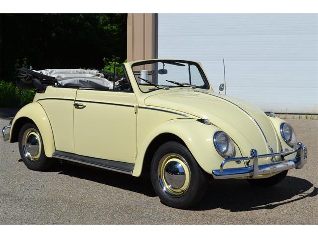 1964 Volkswagen Beetle (CC-875494) for sale in Holland, Michigan