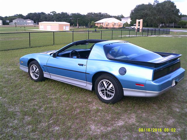1988 Pontiac Firebird Trans Am (CC-876662) for sale in Mount Dora, Florida