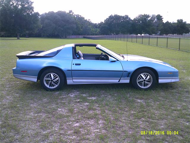 1988 Pontiac Firebird Trans Am (CC-876662) for sale in Mount Dora, Florida
