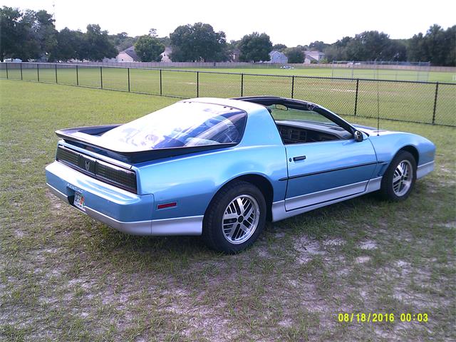 1988 Pontiac Firebird Trans Am (CC-876662) for sale in Mount Dora, Florida