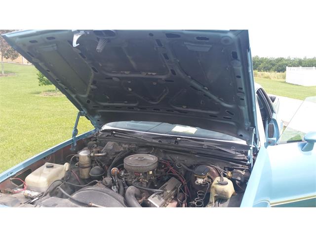 1979 Chevrolet El Camino (CC-876794) for sale in New Brighton, Pennsylvania