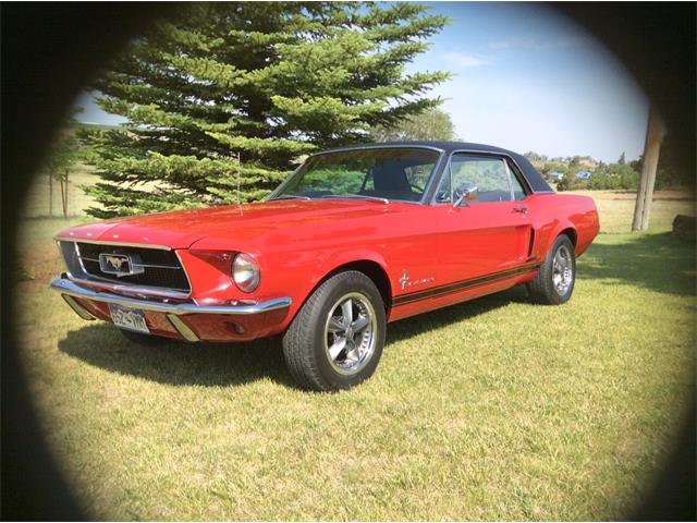 1967 Ford Mustang (CC-876895) for sale in Pleasant view, Colorado