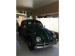 1966 Volkswagen Beetle (CC-876946) for sale in Winter Park, Florida