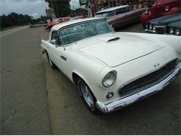 1955 Ford Thunderbird (CC-877457) for sale in Jackson, Michigan