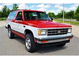 1983 Chevrolet S10 Blazer (CC-877462) for sale in Lakeland, Florida
