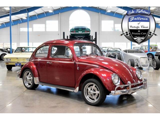 1964 Volkswagen Beetle (CC-879219) for sale in Salem, Ohio