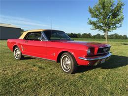 1966 Ford Mustang (CC-879387) for sale in Kingston, Ohio